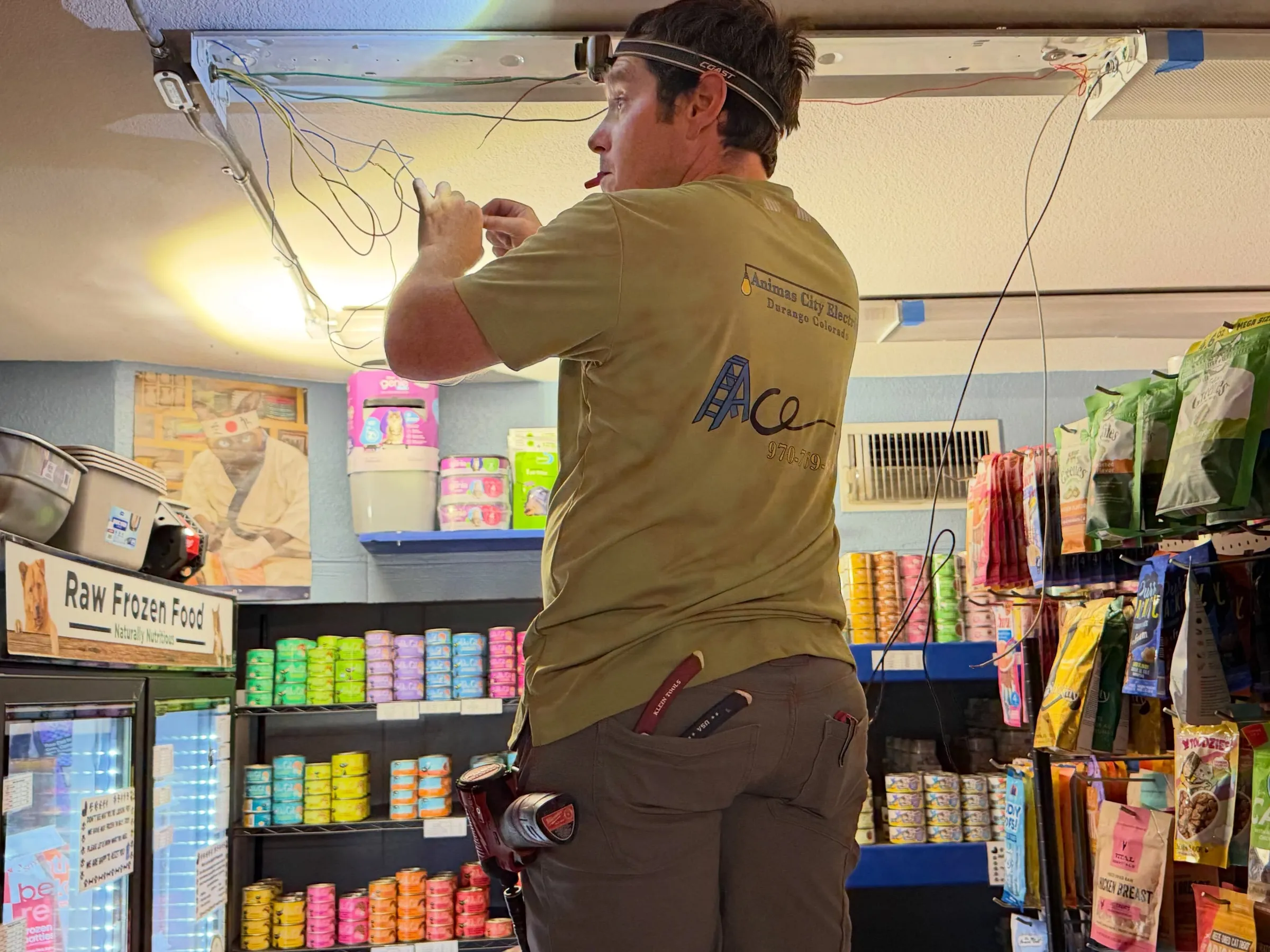 An Animas City Electric electrician on a ladder wiring a new light fixture inside Pet Haus in Durango
