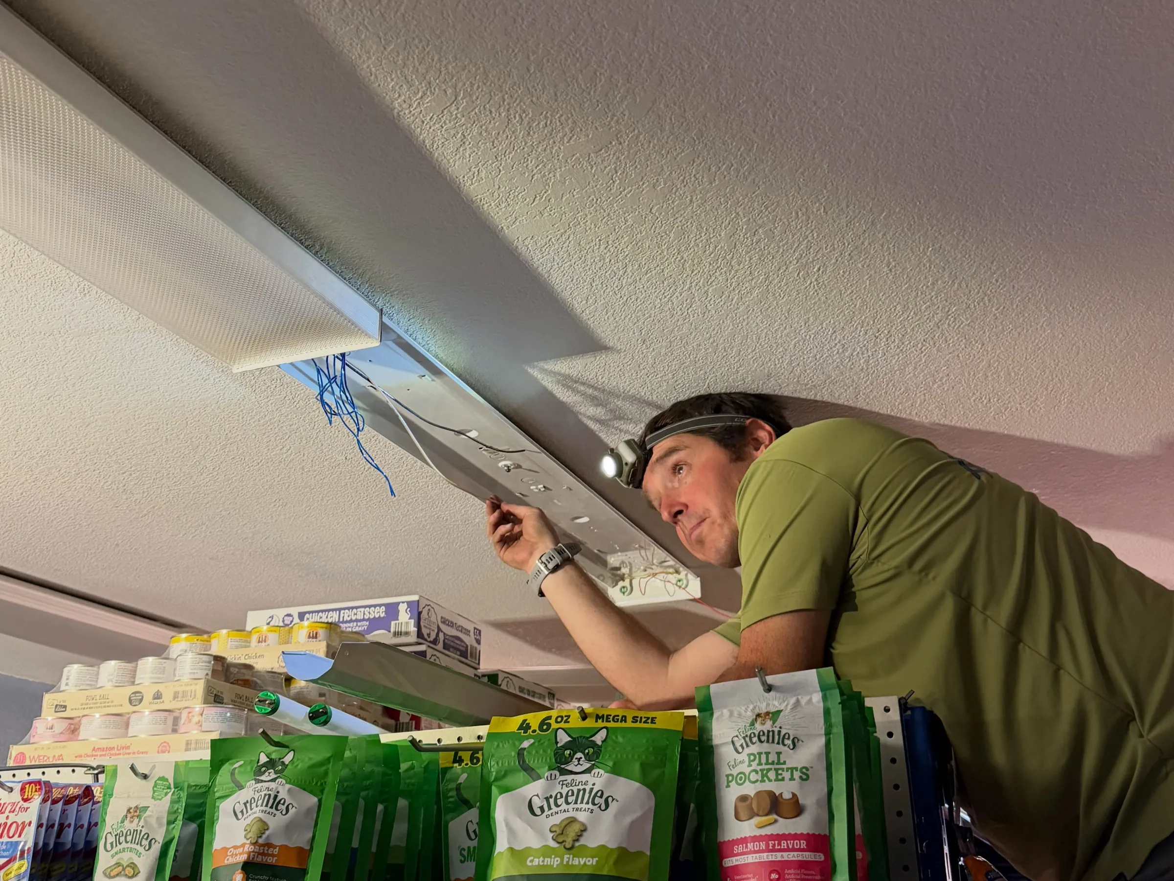 An electrician installing a new ceiling light fixture above the shelves at Pet Haus