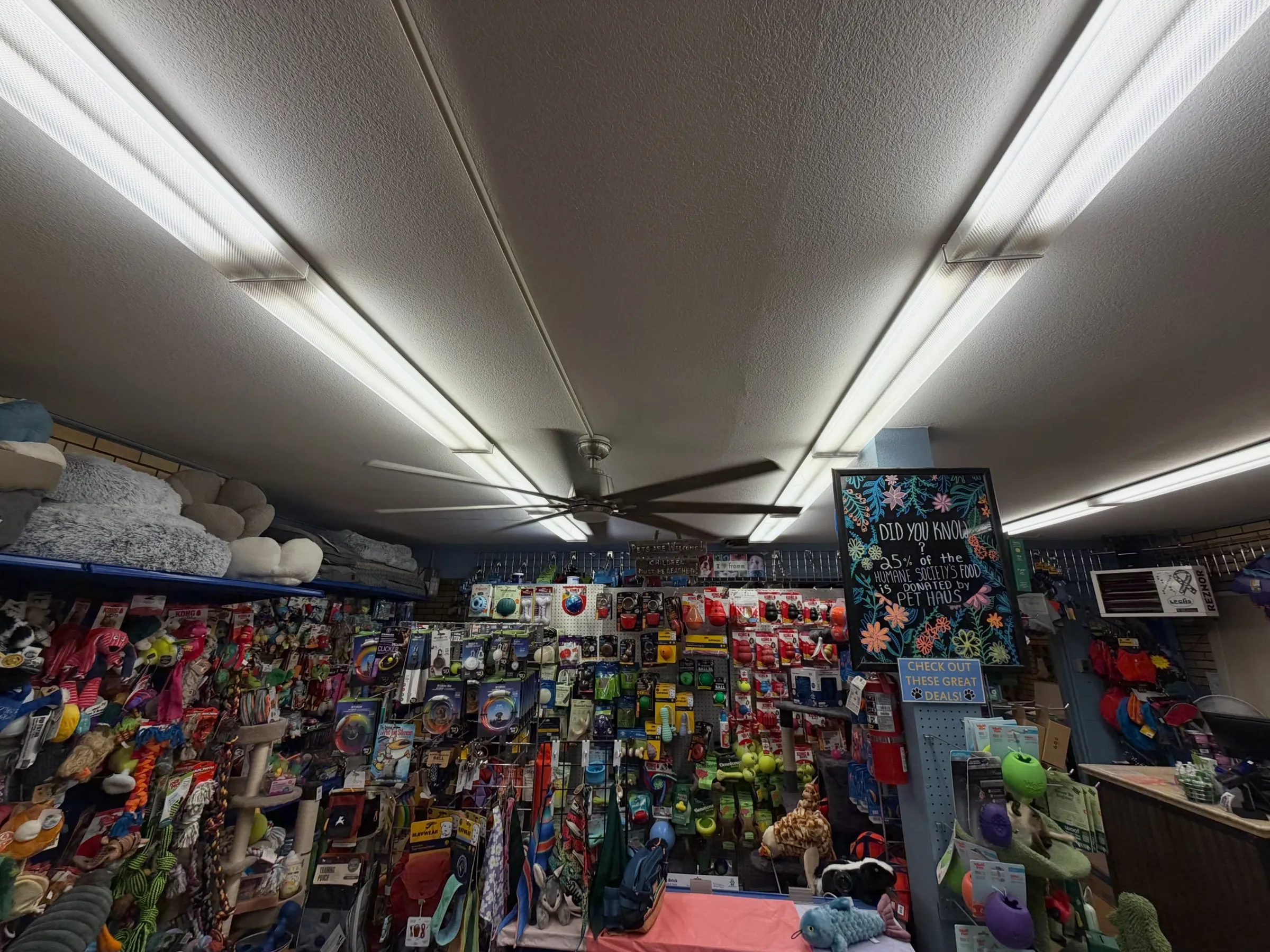 The upper floor of Pet Haus under bright new light fixtures